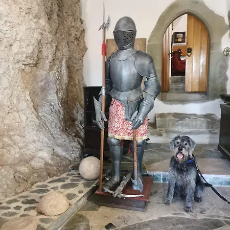 Burg Hermannstein - Queens Oda ve Kahvaltı *