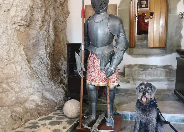 Burg Hermannstein - Queens Panzió *